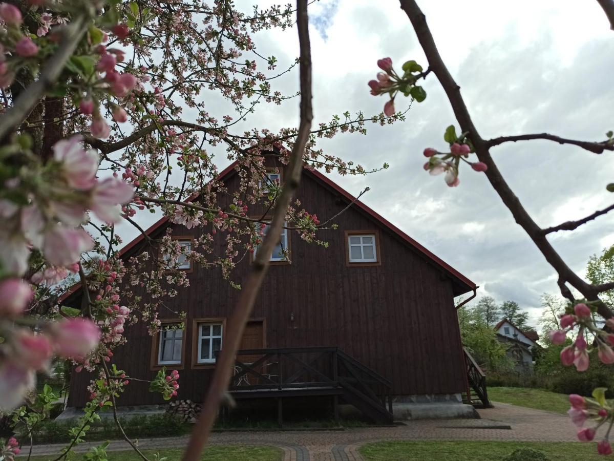 Agroturystyka Sominy Farm stay Sominy